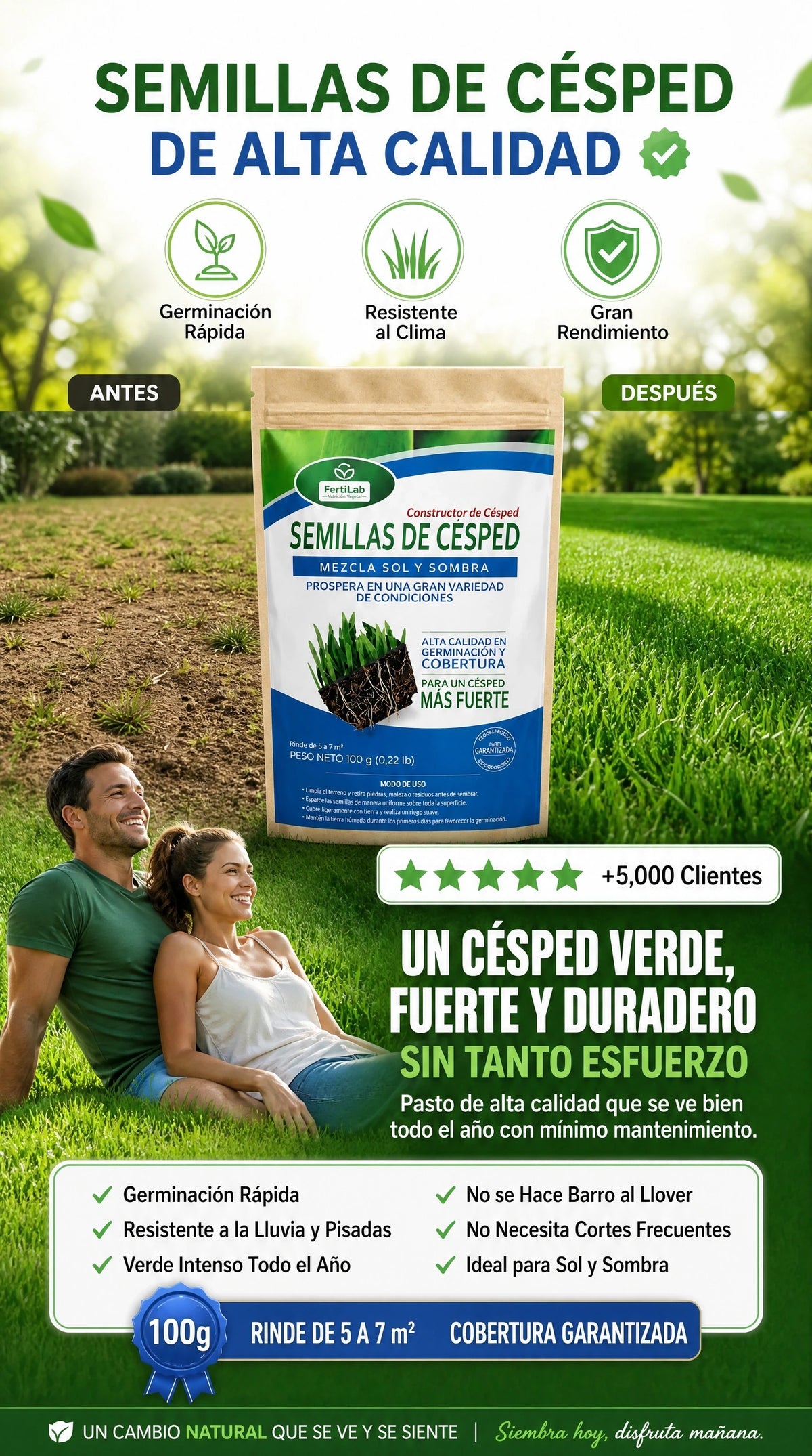 Semillas Cesped