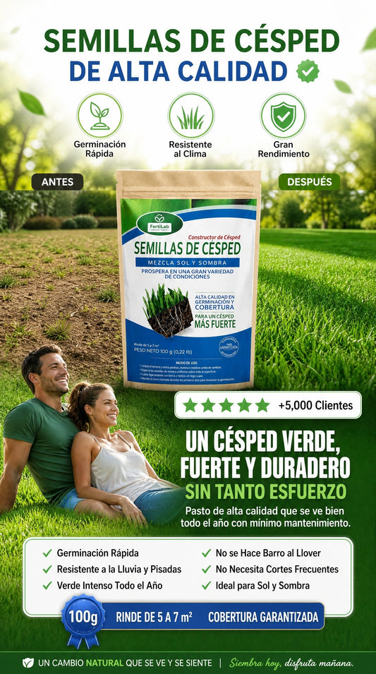 Semillas Cesped